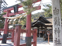 白鬚神社(1)