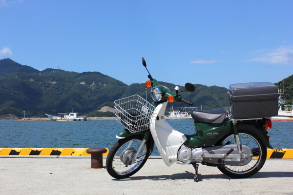 カブと小浜湾＠福井県小浜市